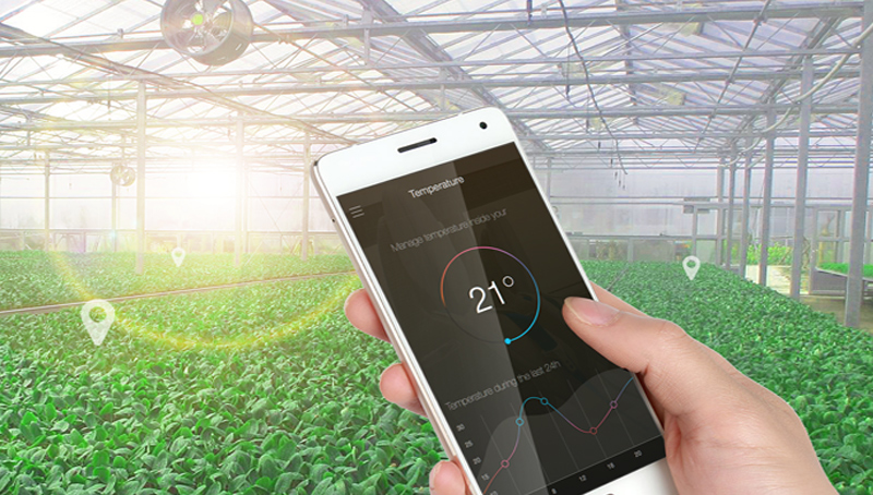 Smart Agriculture.jpg